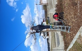 Galeria aktualności Światowy Dzień Lasu w Cekanowie &ndash; wsp&oacute;lnie dla natury! 8