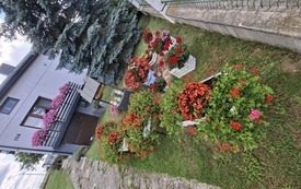 20260811_140816
