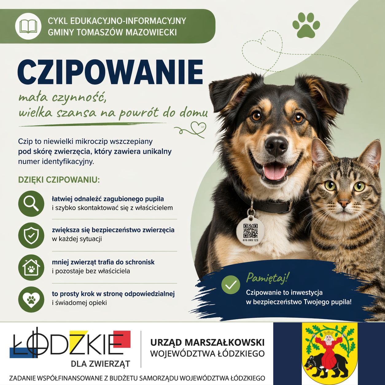 Chipowanie_FB_&mdash;_kopia