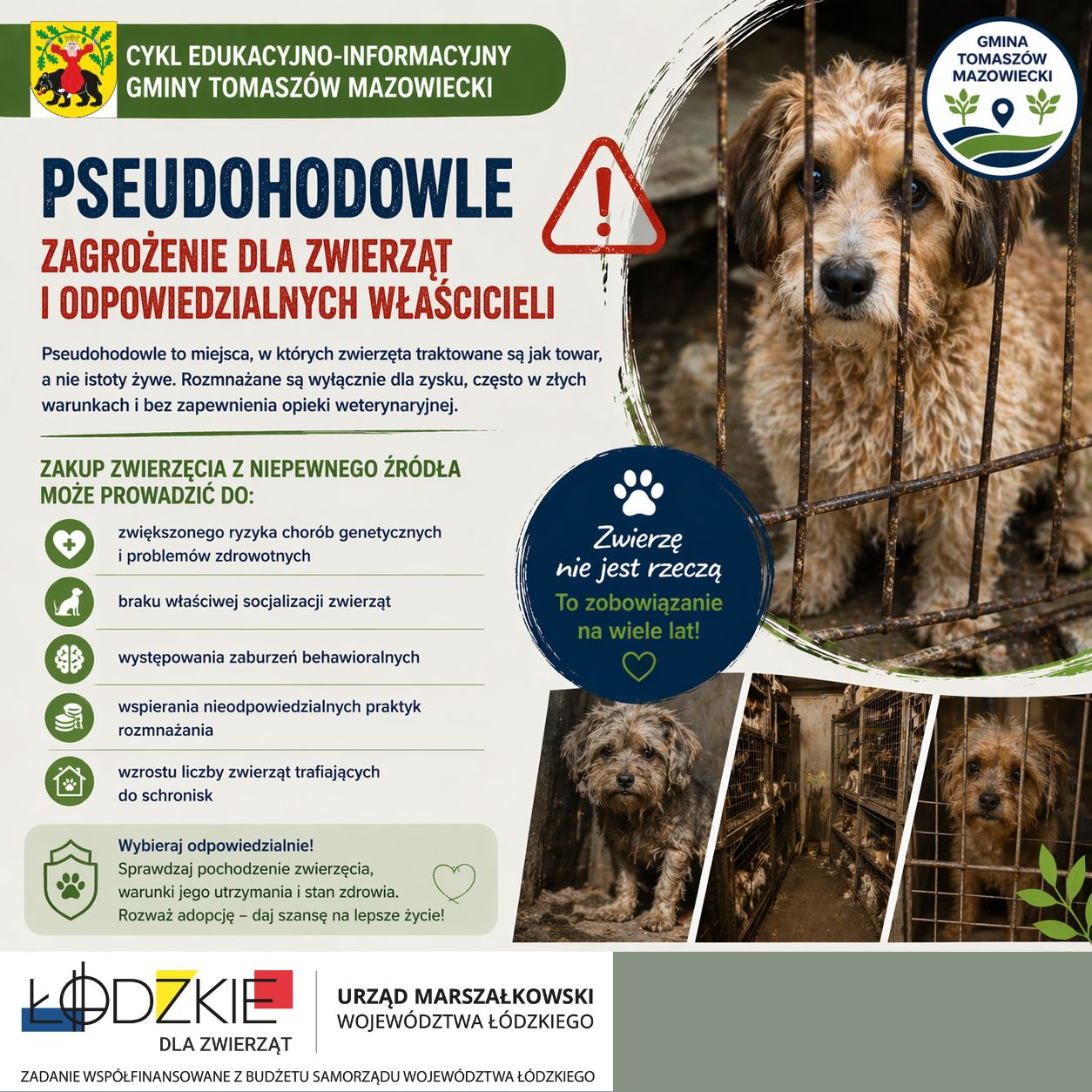 pseudohodowle