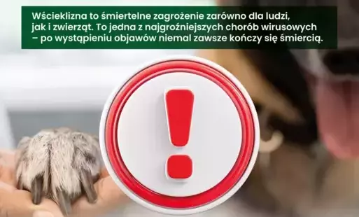 Plakat - wścieklizna