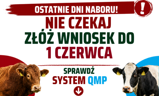 QMP