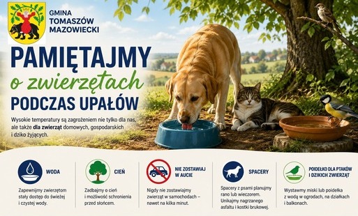 Upał zwierzęta