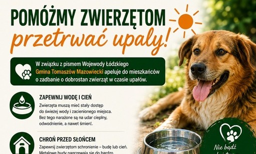 Pomoc zwierzętom
