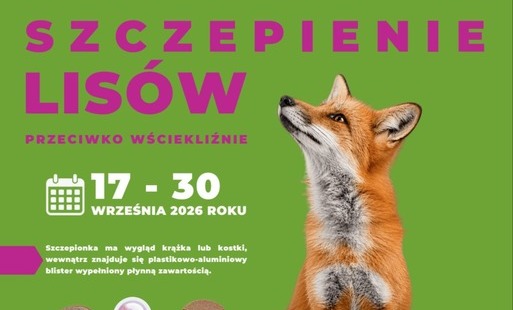 Szczepienie lisów